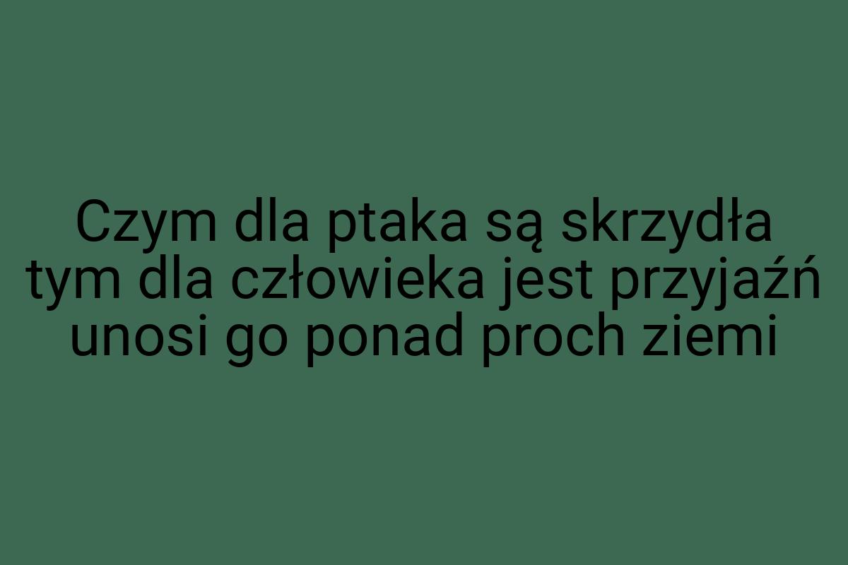 Czym dla ptaka są skrzydła tym dla człowieka jest przyjaźń