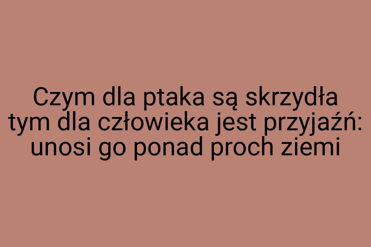 Czym dla ptaka są skrzydła tym dla człowieka jest przyjaźń