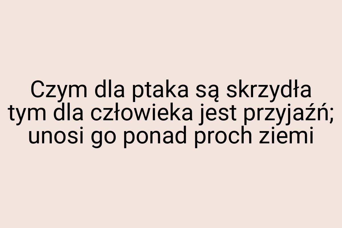 Czym dla ptaka są skrzydła tym dla człowieka jest przyjaźń