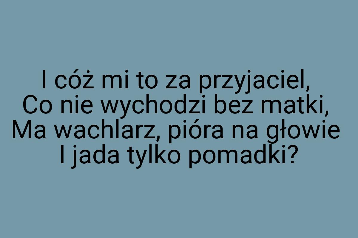 I cóż mi to za przyjaciel, Co nie wychodzi bez matki, Ma