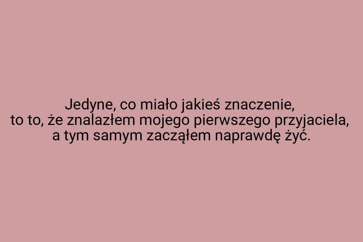 Jedyne, co miało jakieś znaczenie, to to, że znalazłem