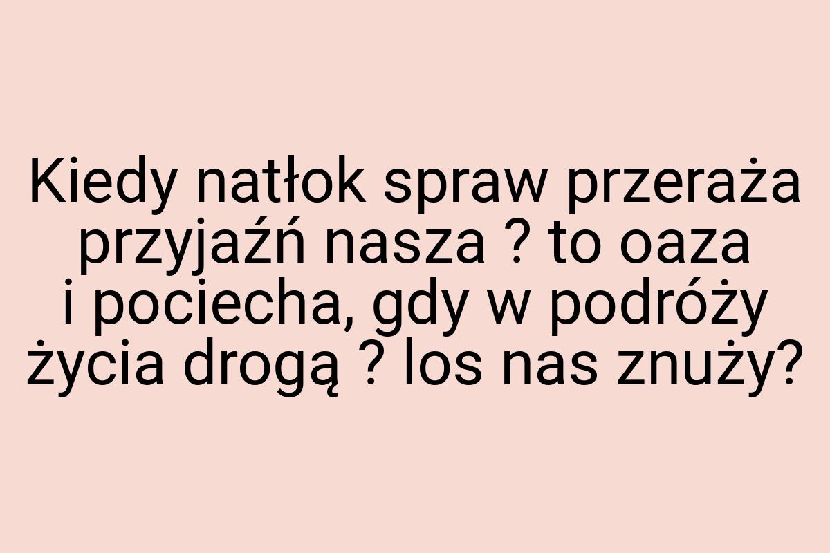 Kiedy natłok spraw przeraża przyjaźń nasza ? to oaza i
