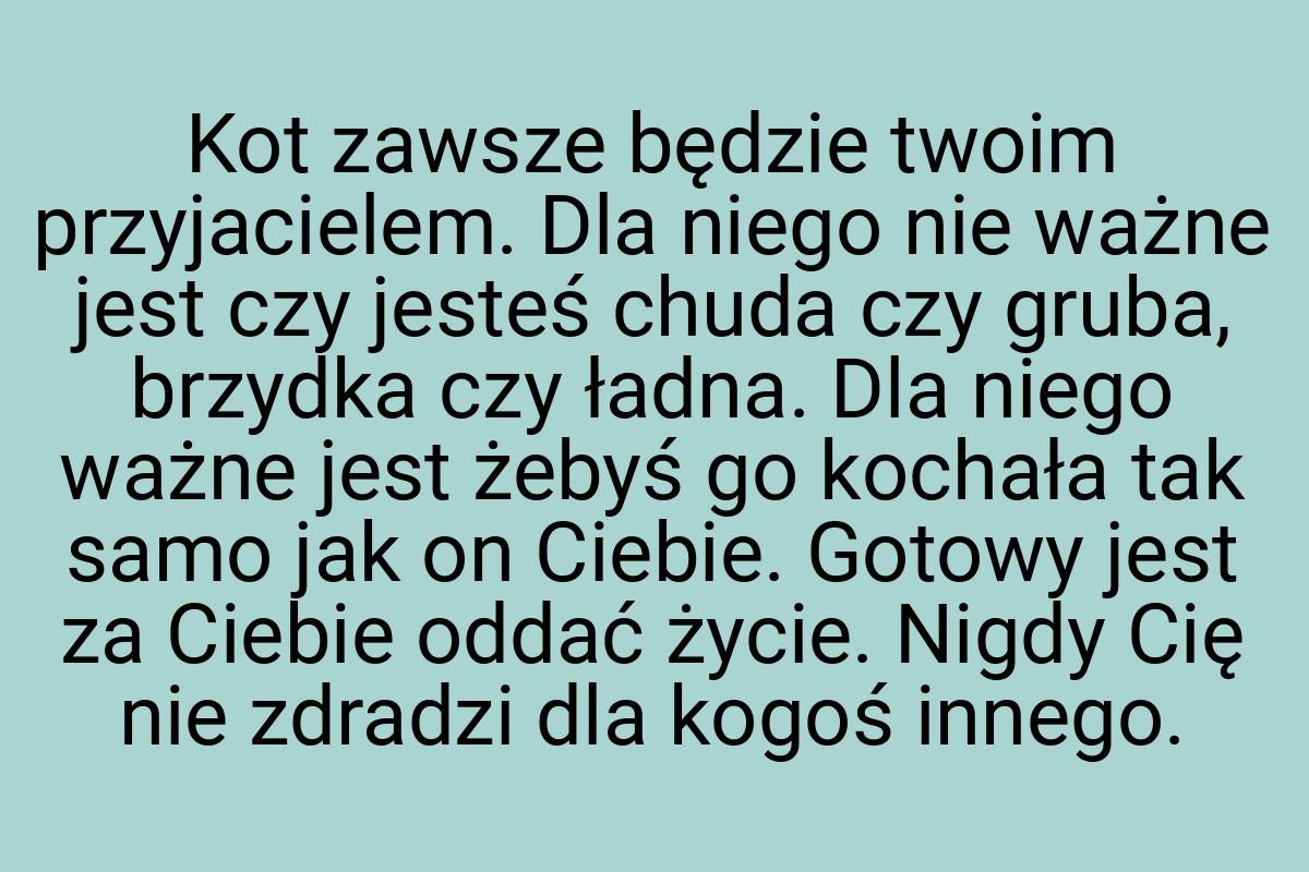 Kot zawsze będzie twoim przyjacielem. Dla niego nie ważne