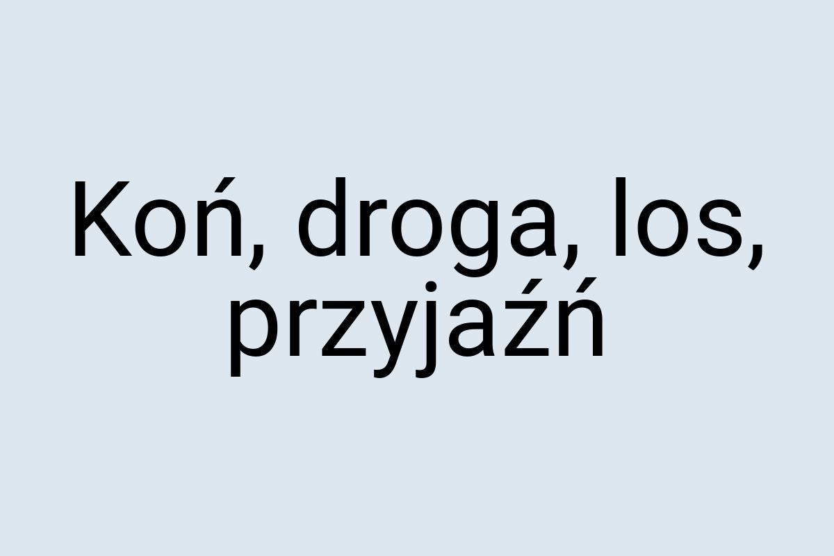 Koń, droga, los, przyjaźń