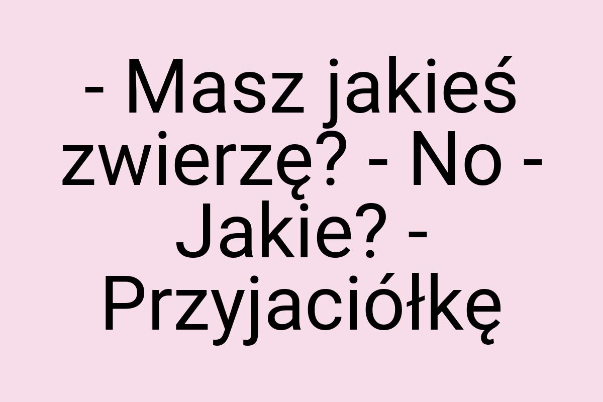 - Masz jakieś zwierzę? - No - Jakie? - Przyjaciółkę