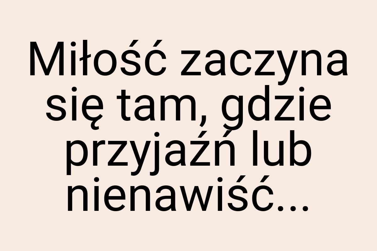 Miłość zaczyna się tam, gdzie przyjaźń lub nienawiść