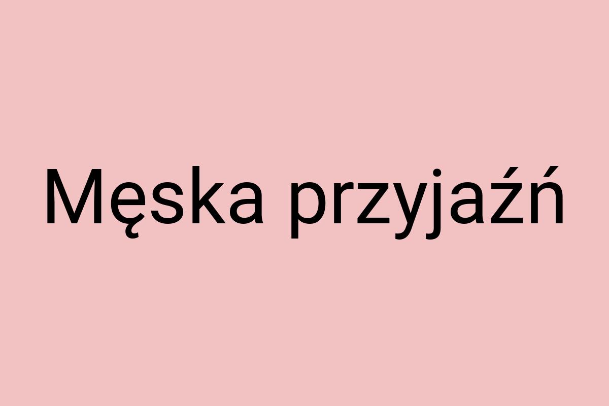 Męska przyjaźń