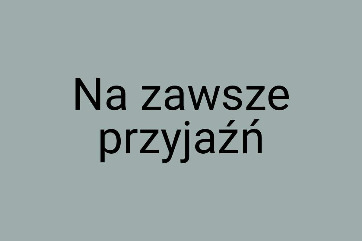 Na zawsze przyjaźń