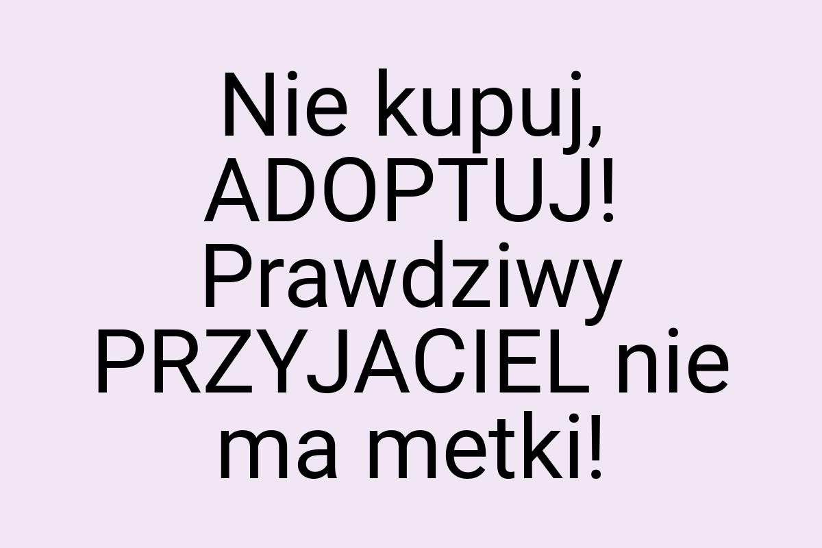 Nie kupuj, ADOPTUJ! Prawdziwy PRZYJACIEL nie ma metki