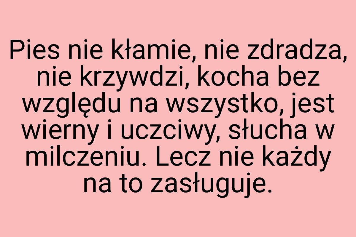 Pies nie kłamie, nie zdradza, nie krzywdzi, kocha bez