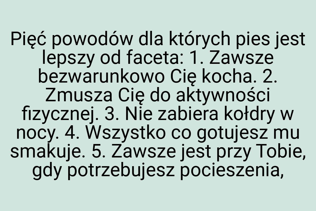 Pięć powodów dla których pies jest lepszy od faceta