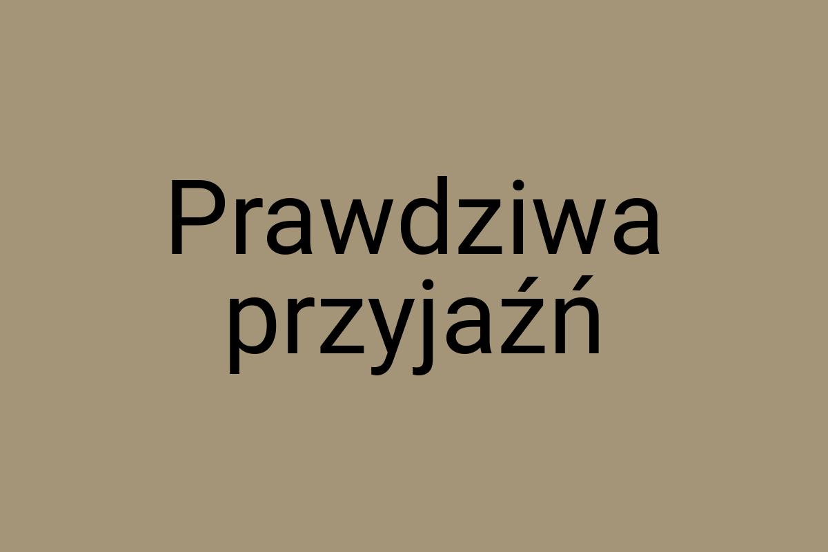 Prawdziwa przyjaźń