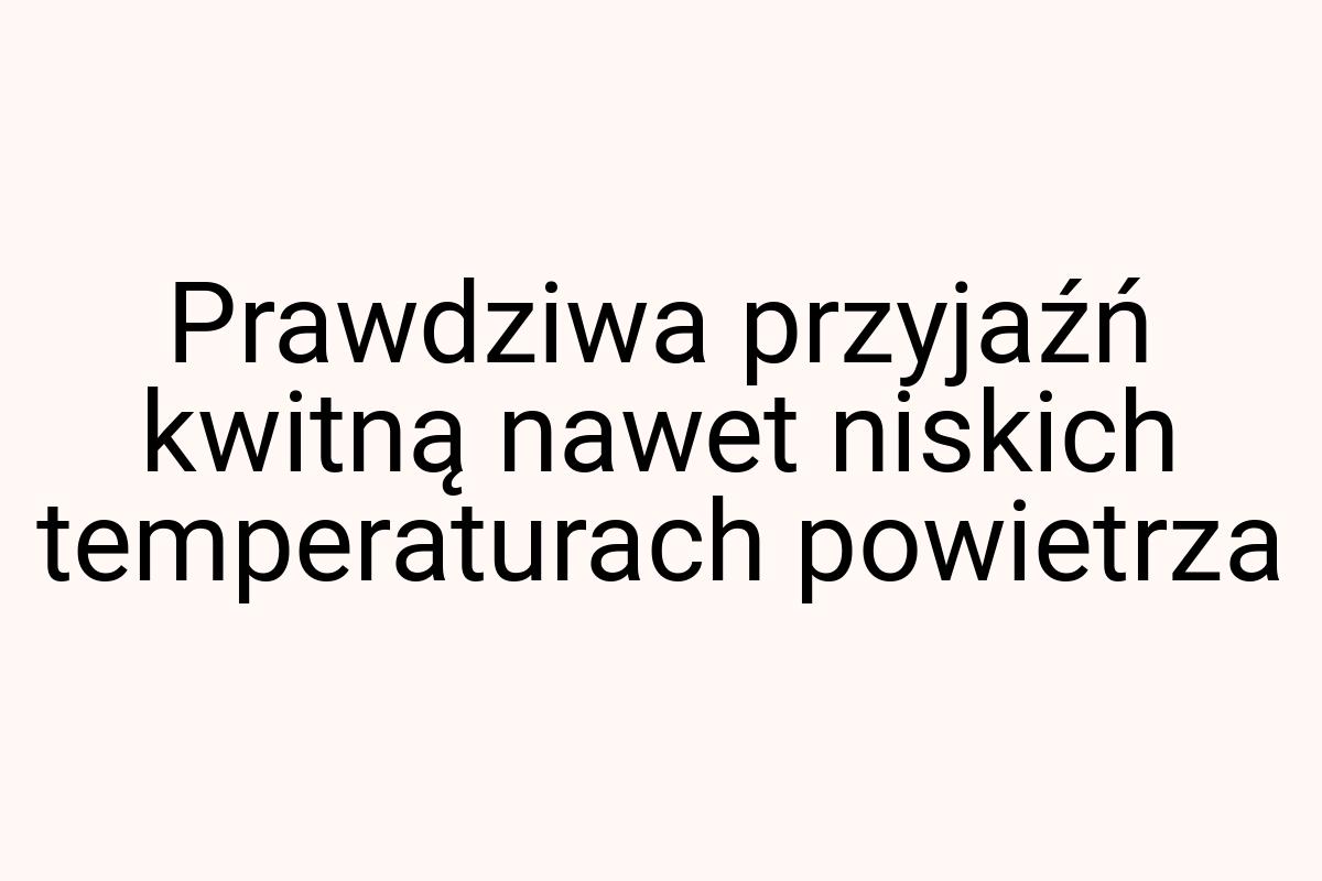 Prawdziwa przyjaźń kwitną nawet niskich temperaturach