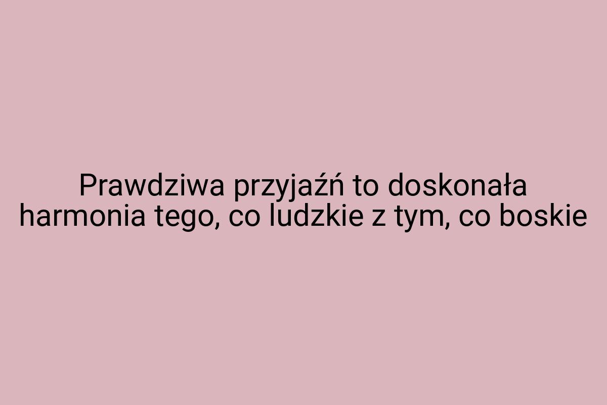 Prawdziwa przyjaźń to doskonała harmonia tego, co ludzkie z