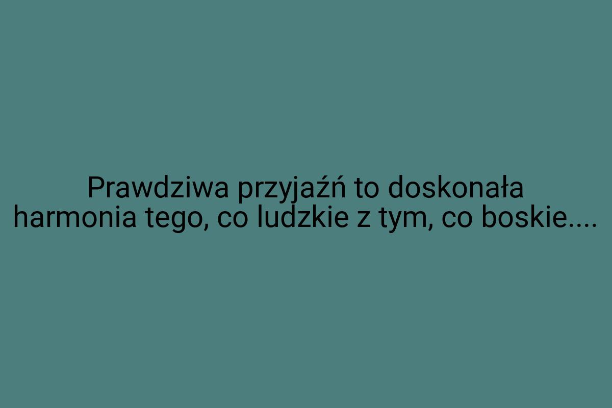 Prawdziwa przyjaźń to doskonała harmonia tego, co ludzkie z