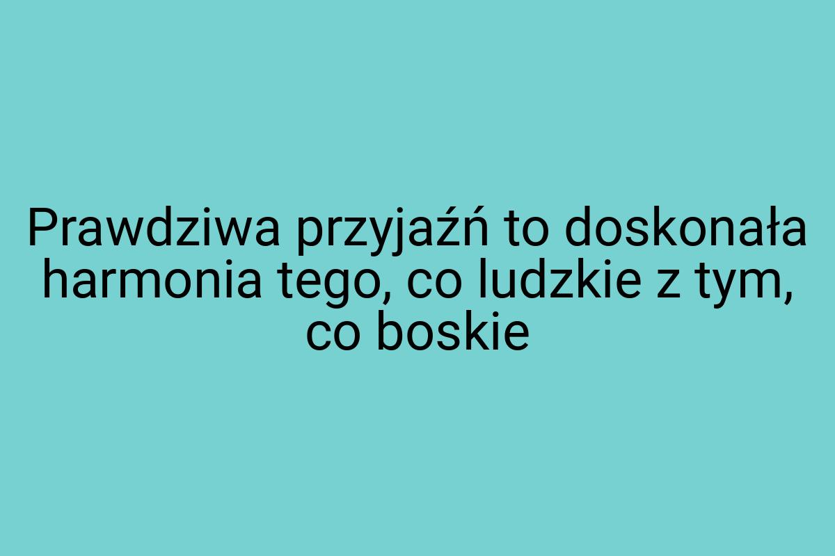 Prawdziwa przyjaźń to doskonała harmonia tego, co ludzkie z