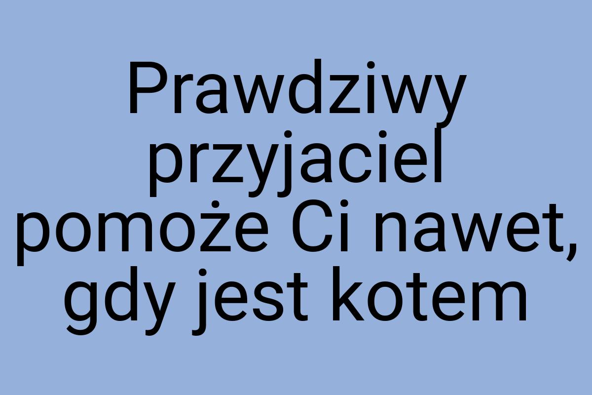 Prawdziwy przyjaciel pomoże Ci nawet, gdy jest kotem