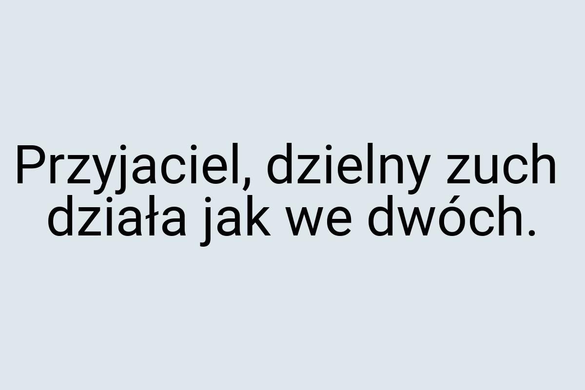 Przyjaciel, dzielny zuch działa jak we dwóch