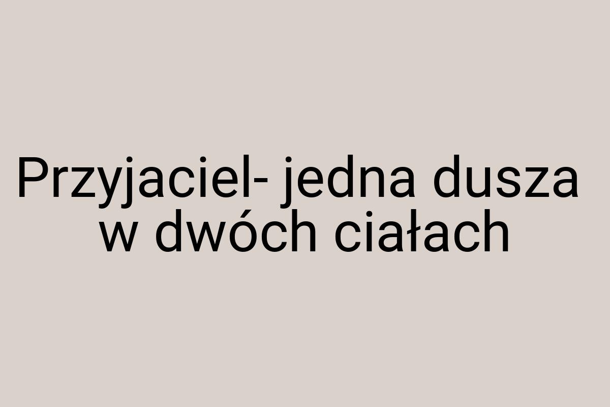 Przyjaciel- jedna dusza w dwóch ciałach