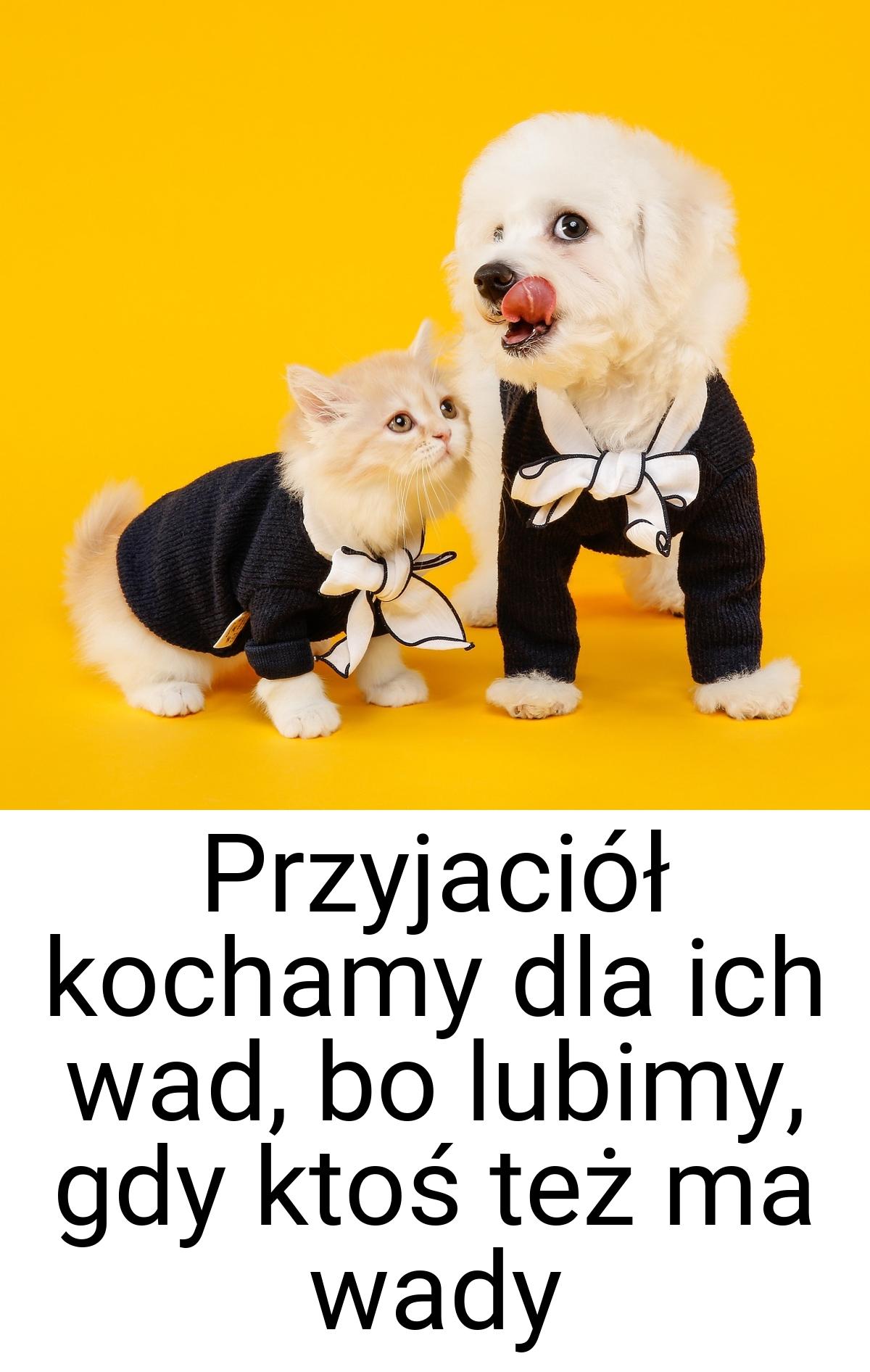 Przyjaciół kochamy dla ich wad, bo lubimy, gdy ktoś też ma