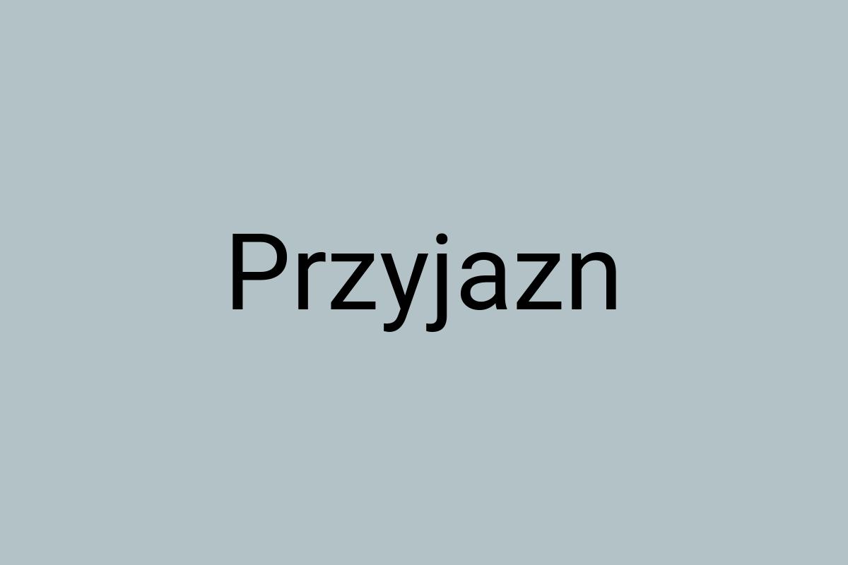 Przyjazn