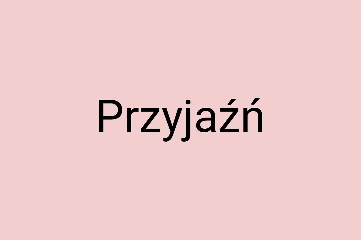 Przyjaźń