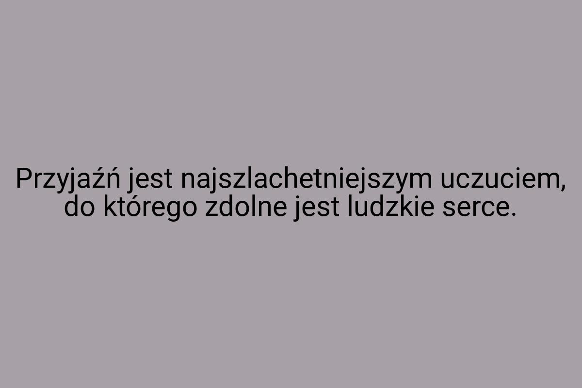 Przyjaźń jest najszlachetniejszym uczuciem, do którego