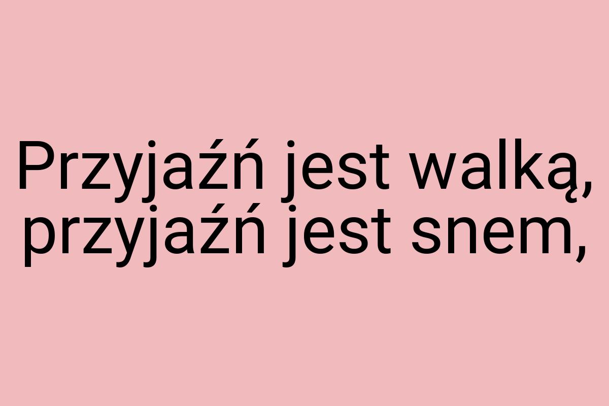 Przyjaźń jest walką, przyjaźń jest snem