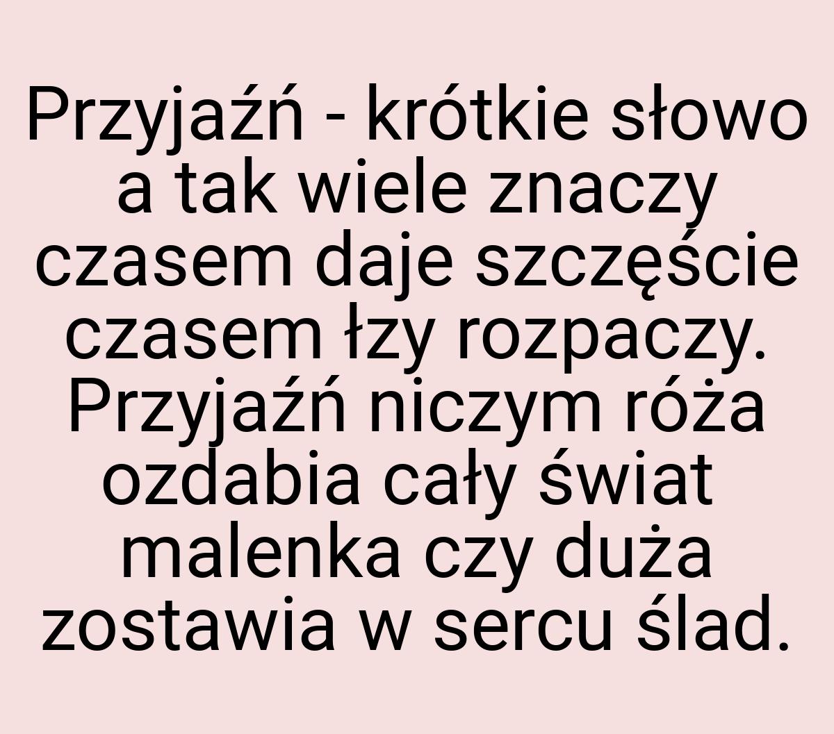 Przyjaźń - krótkie słowo a tak wiele znaczy czasem daje