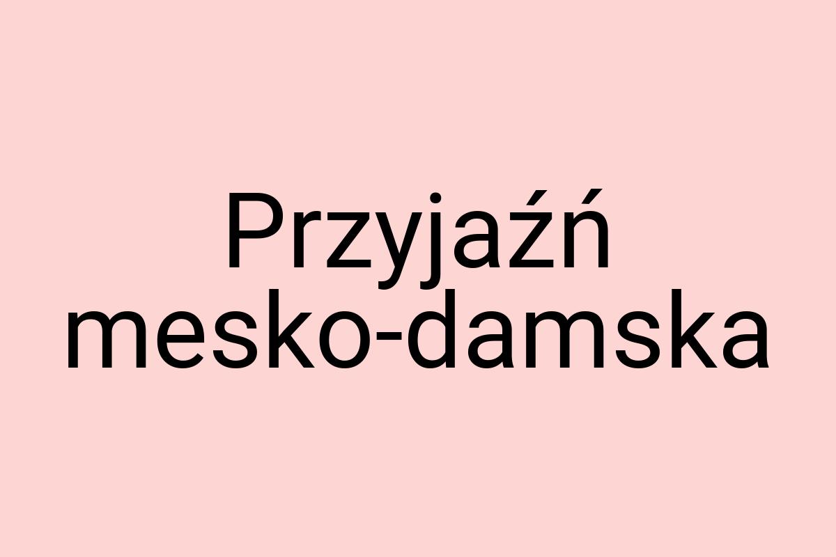 Przyjaźń mesko-damska