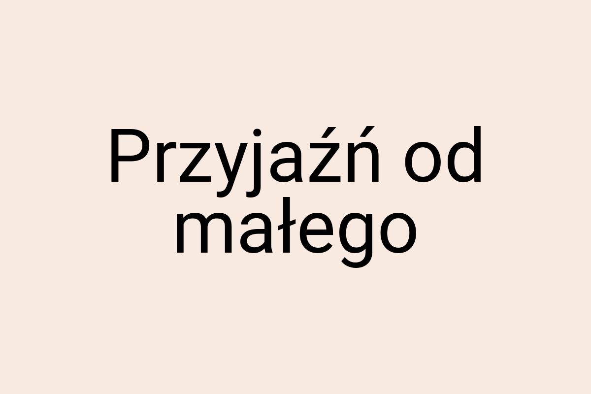 Przyjaźń od małego