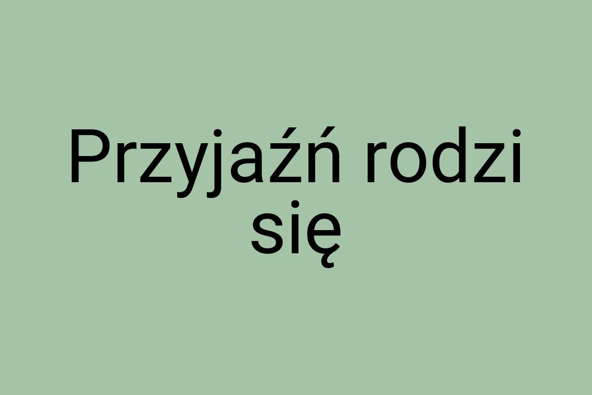 Przyjaźń rodzi się