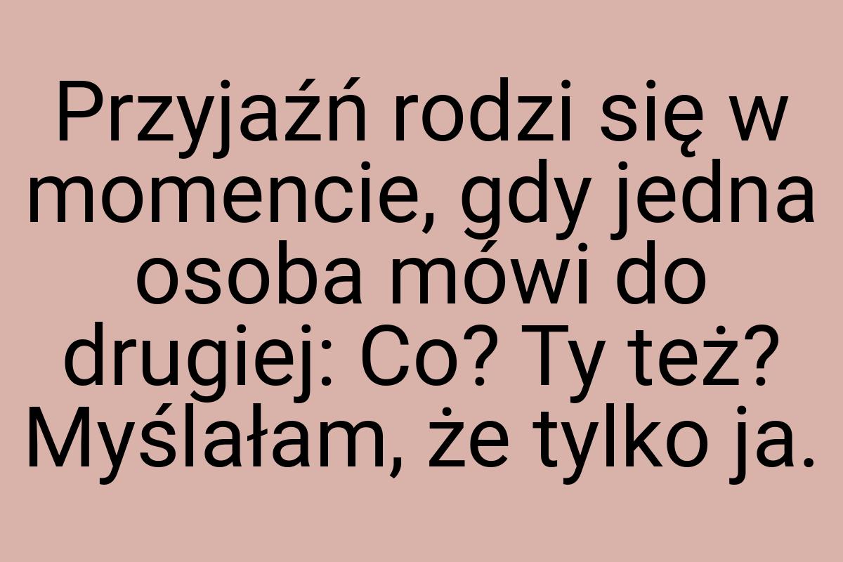 Przyjaźń rodzi się w momencie, gdy jedna osoba mówi do