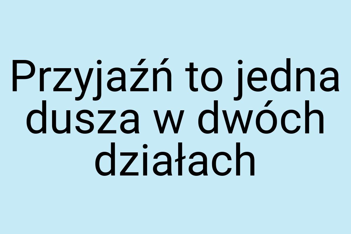 Przyjaźń to jedna dusza w dwóch działach