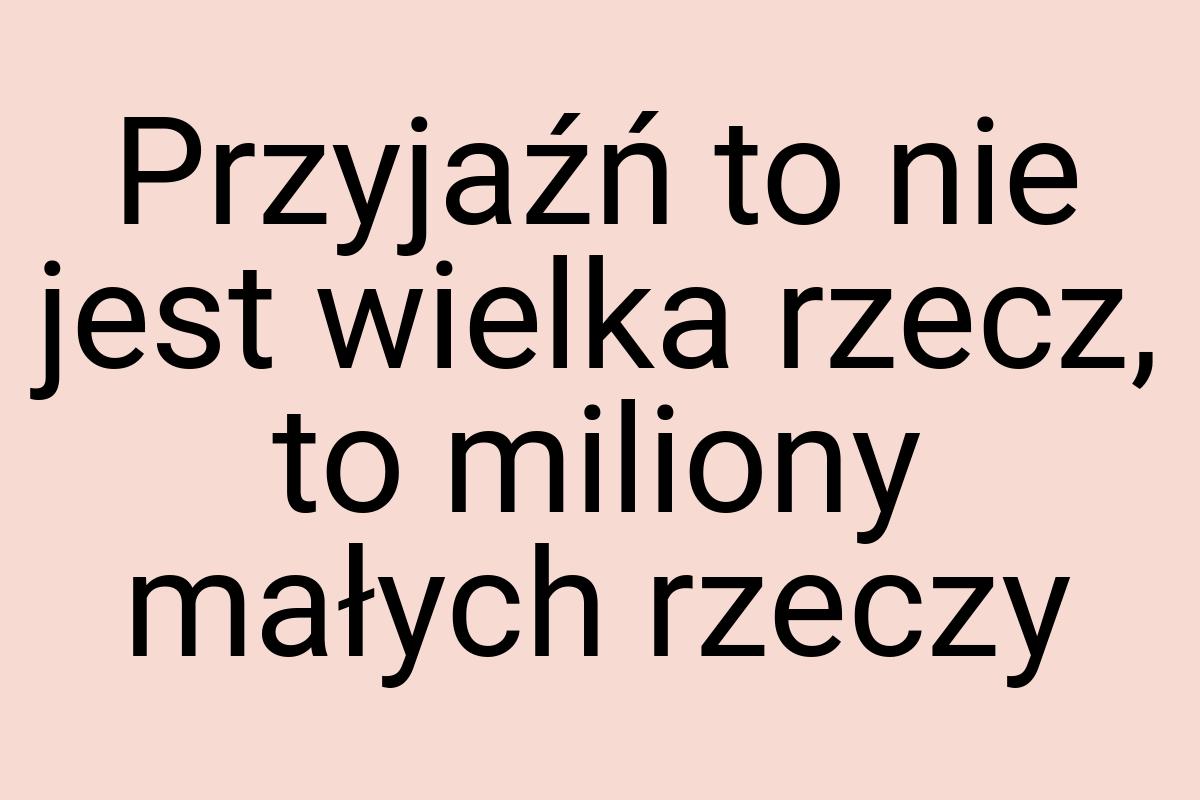 Przyjaźń to nie jest wielka rzecz, to miliony małych rzeczy