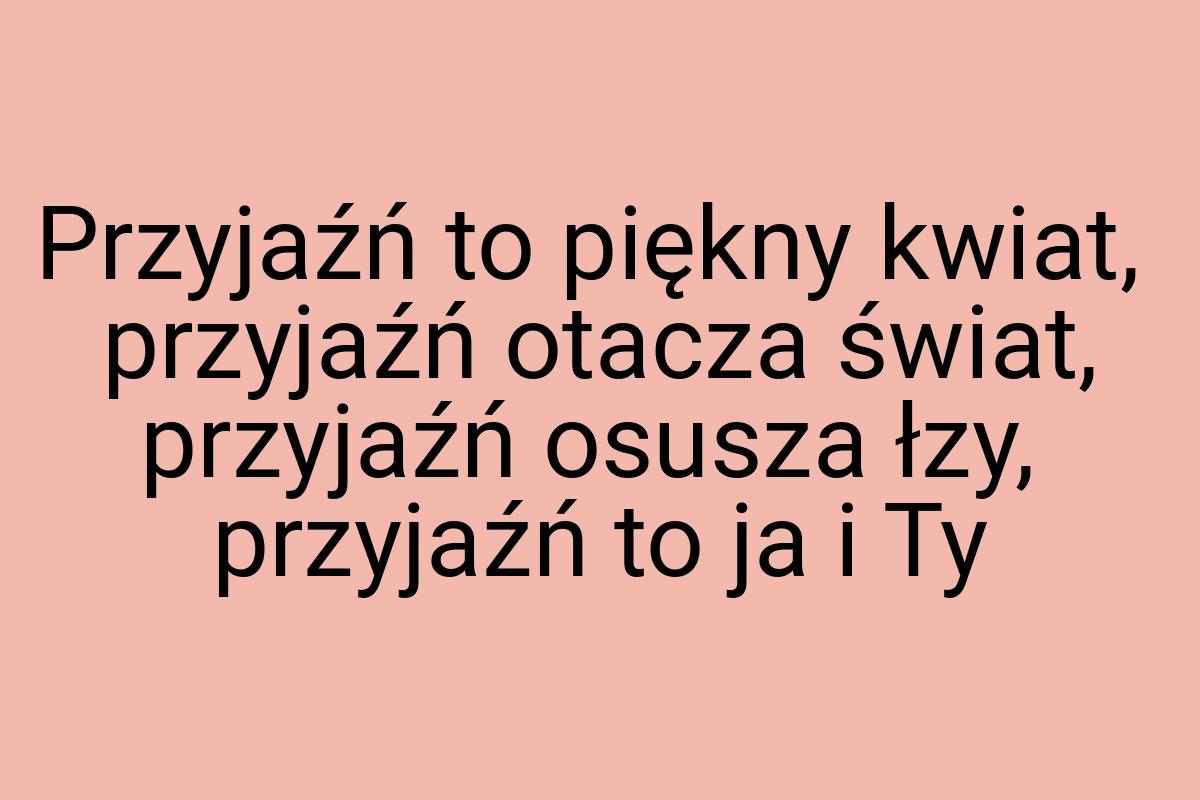 Przyjaźń to piękny kwiat, przyjaźń otacza świat, przyjaźń