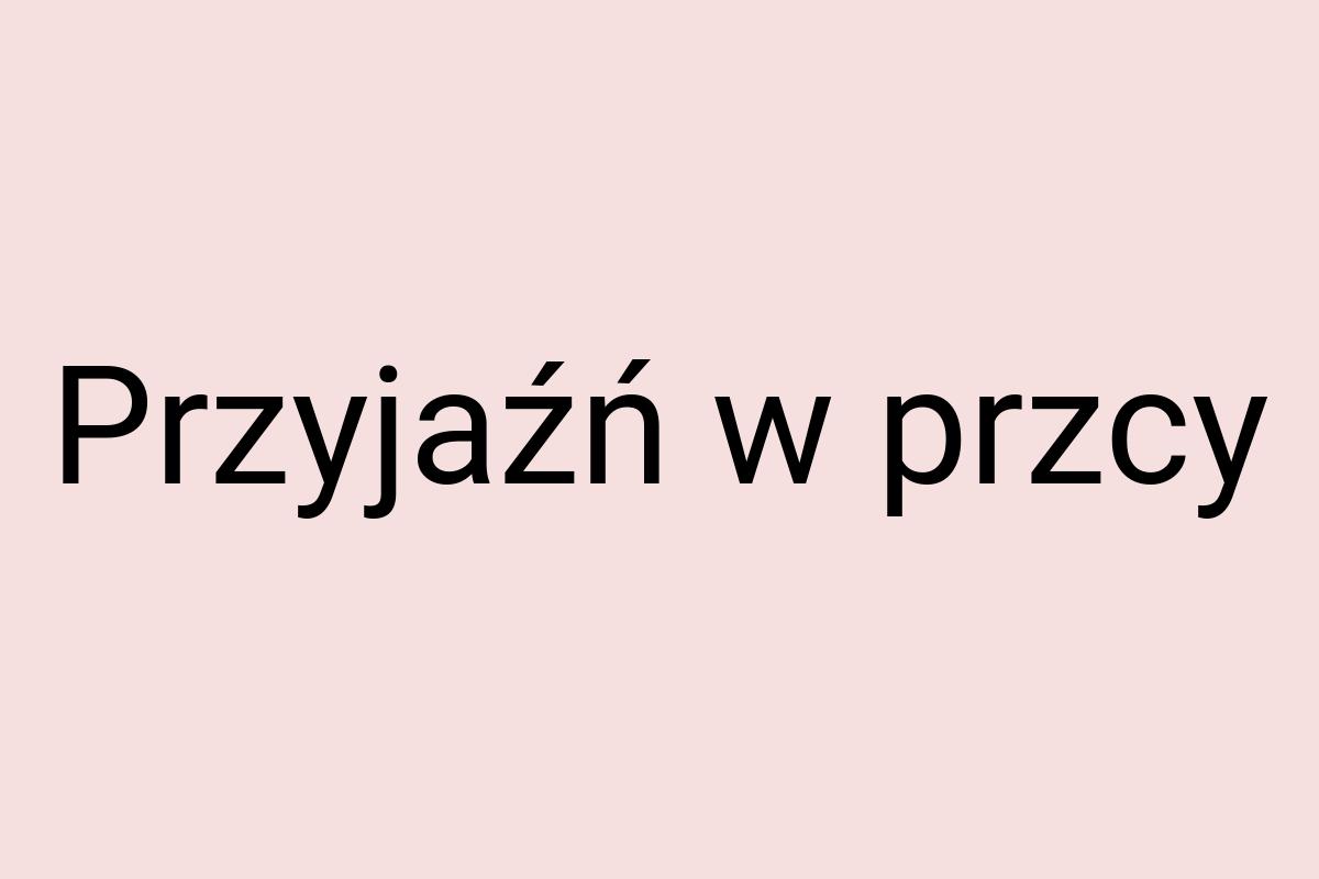 Przyjaźń w przcy