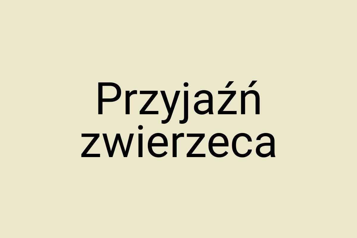 Przyjaźń zwierzeca