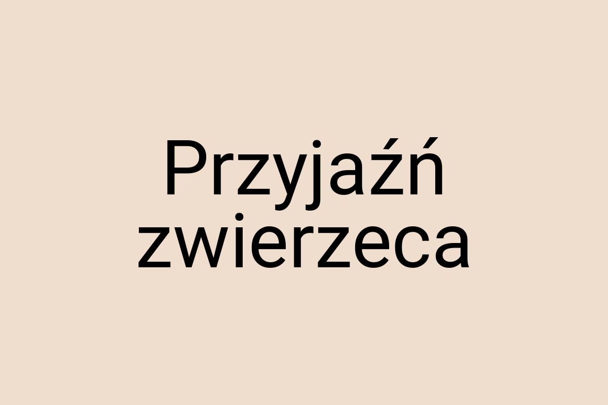 Przyjaźń zwierzeca