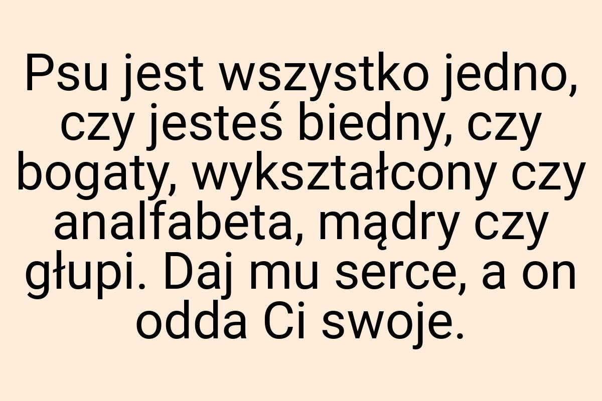 Psu jest wszystko jedno, czy jesteś biedny, czy bogaty