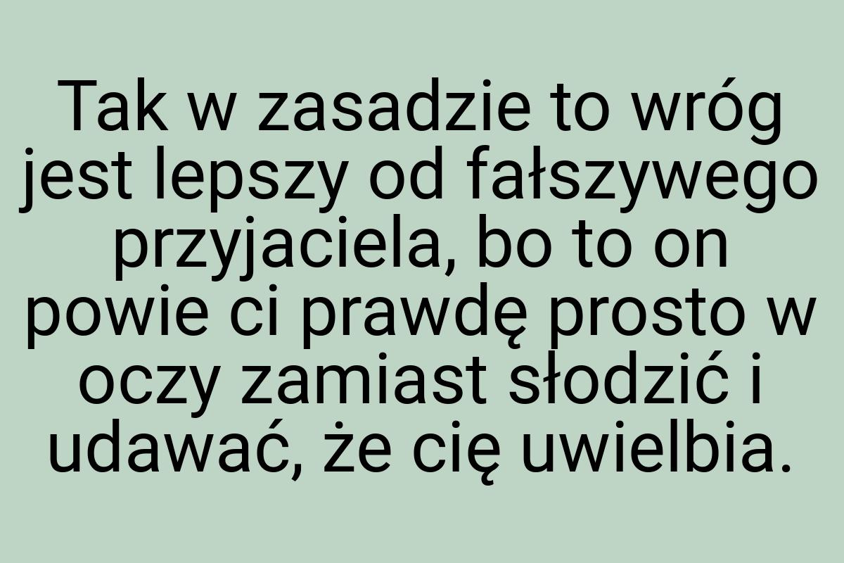 Tak w za­sadzie to wróg jest lep­szy od fałszy­wego