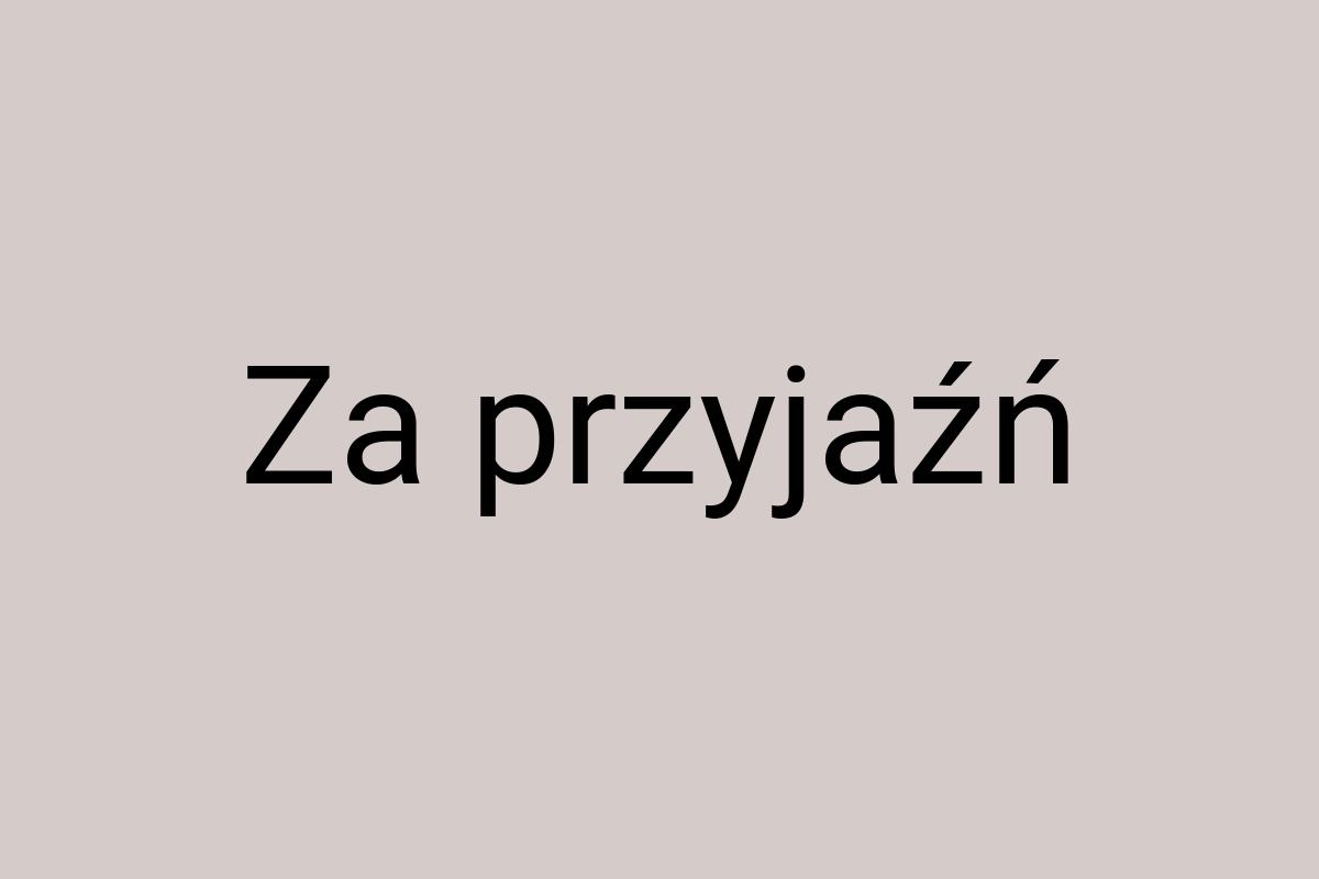 Za przyjaźń