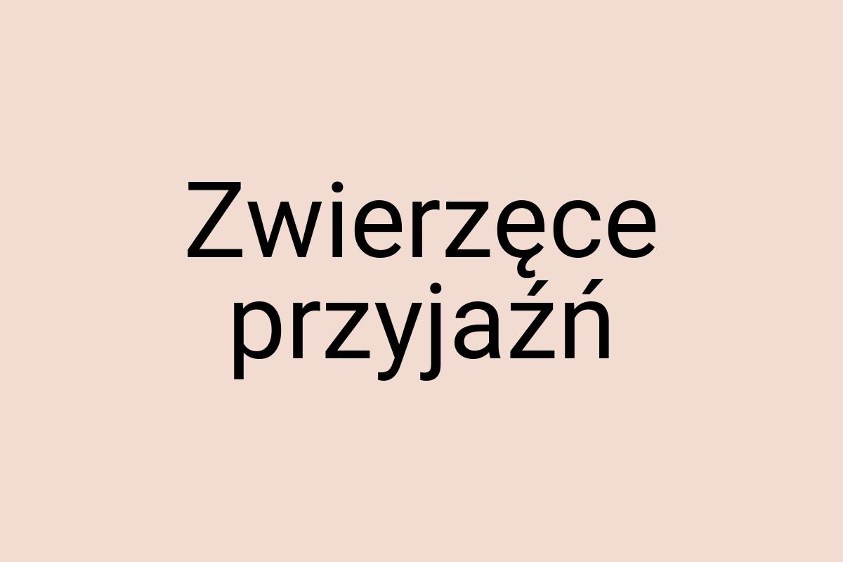 Zwierzęce przyjaźń