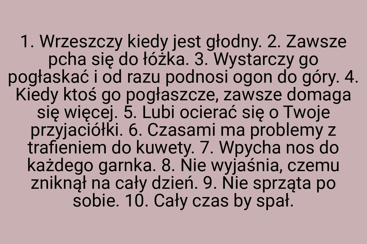 1. Wrzeszczy kiedy jest głodny. 2. Zawsze pcha się do