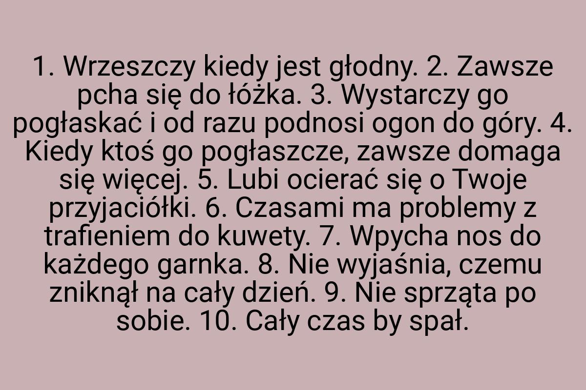 1. Wrzeszczy kiedy jest głodny. 2. Zawsze pcha się do