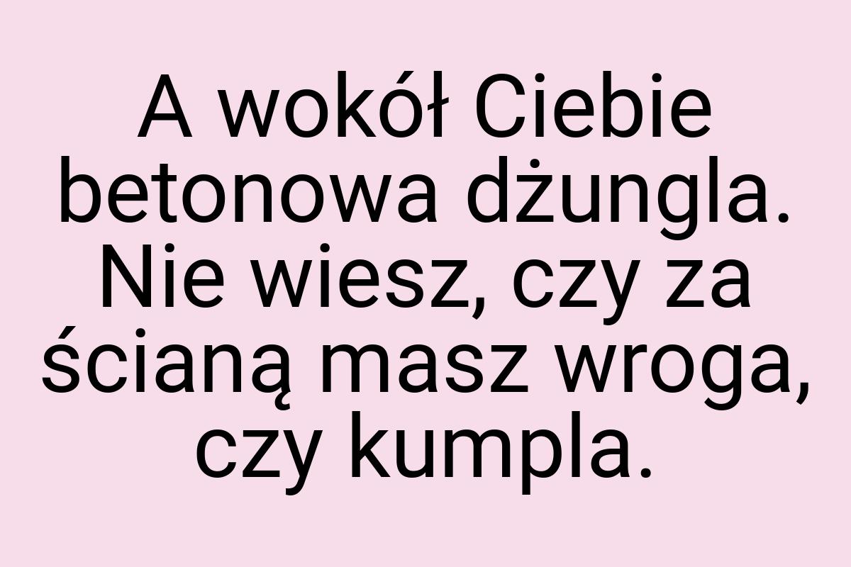 A wokół Ciebie betonowa dżungla. Nie wiesz, czy za ścianą