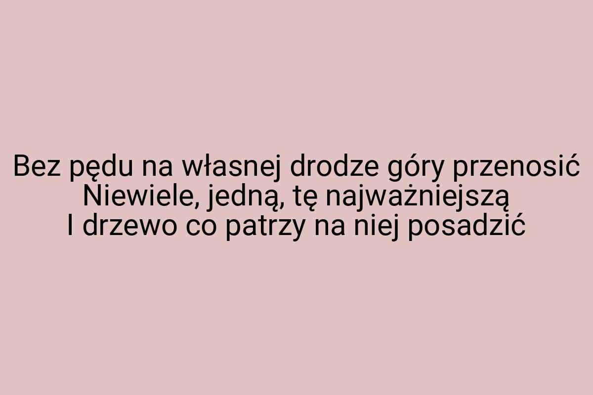 Bez pędu na własnej drodze góry przenosić Niewiele, jedną