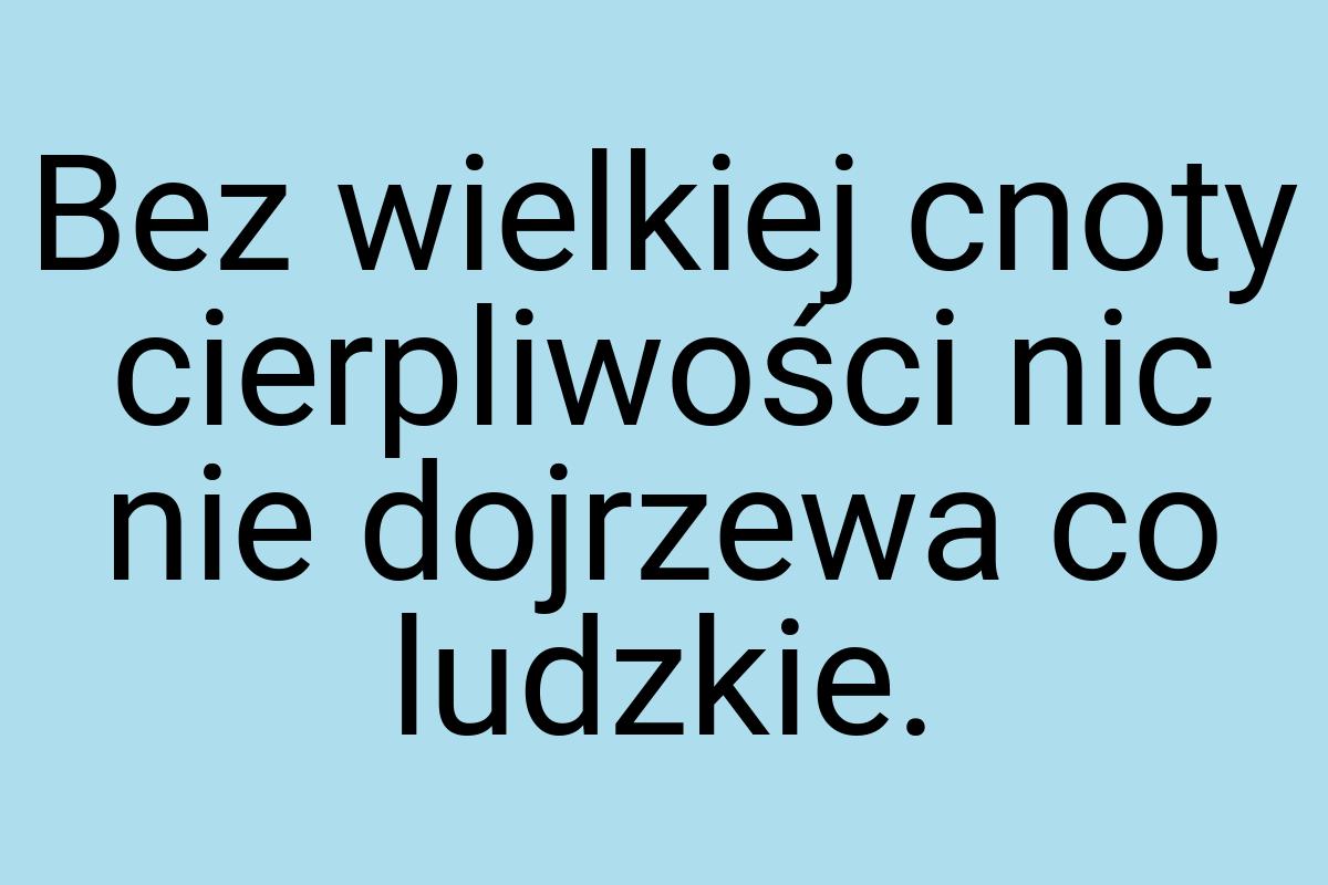 Bez wielkiej cnoty cierpliwości nic nie dojrzewa co ludzkie