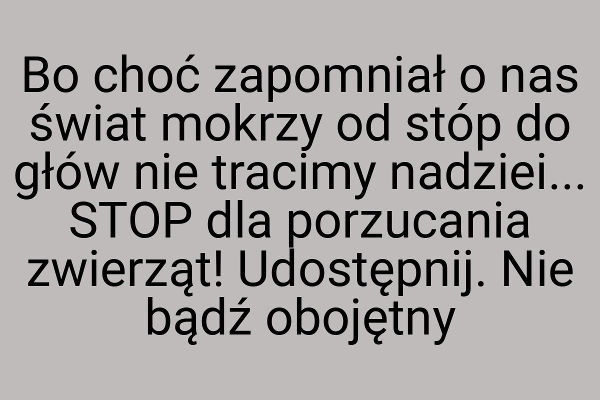 Bo choć zapomniał o nas świat mokrzy od stóp do głów nie