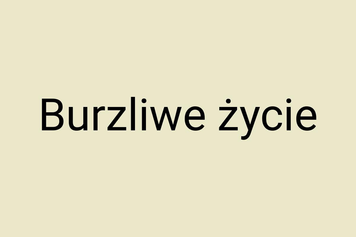 Burzliwe życie